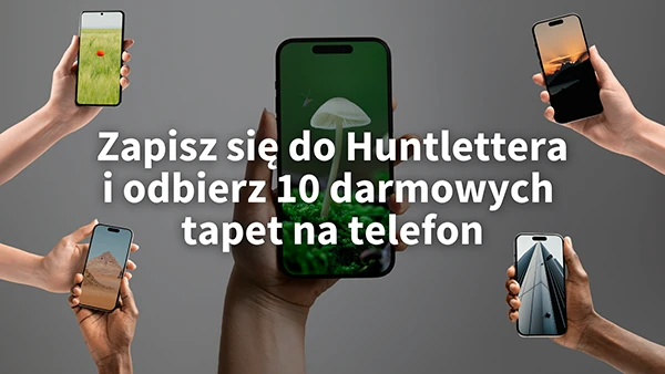 huntletter huntletter